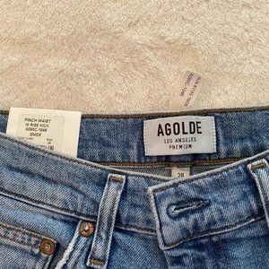 Agolde Pinch Waist Hi Rise Kick Jeans in Divide